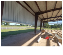 Misc Pics