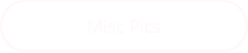Misc Pics